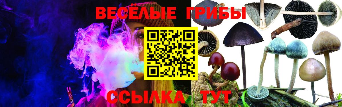 Галлюциногенные грибы Magic Shrooms Гуково
