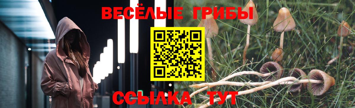 Псилоцибиновые грибы прущие грибы  Вход с VPN  Гуково 